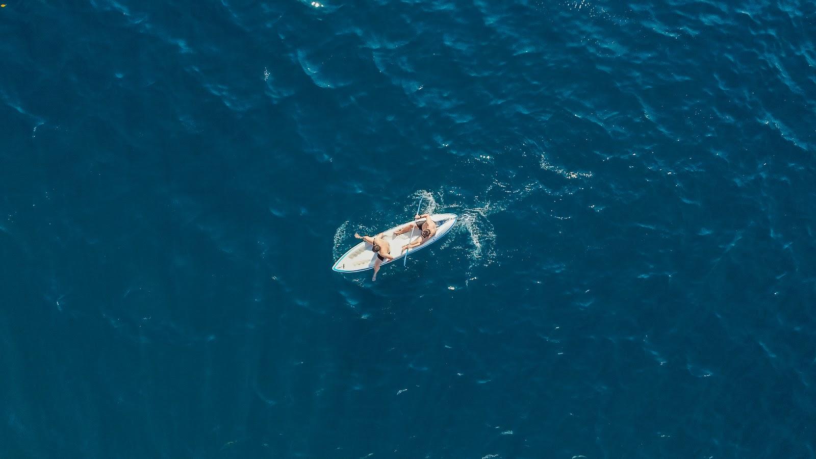 Vidi — Vidi (image 6)