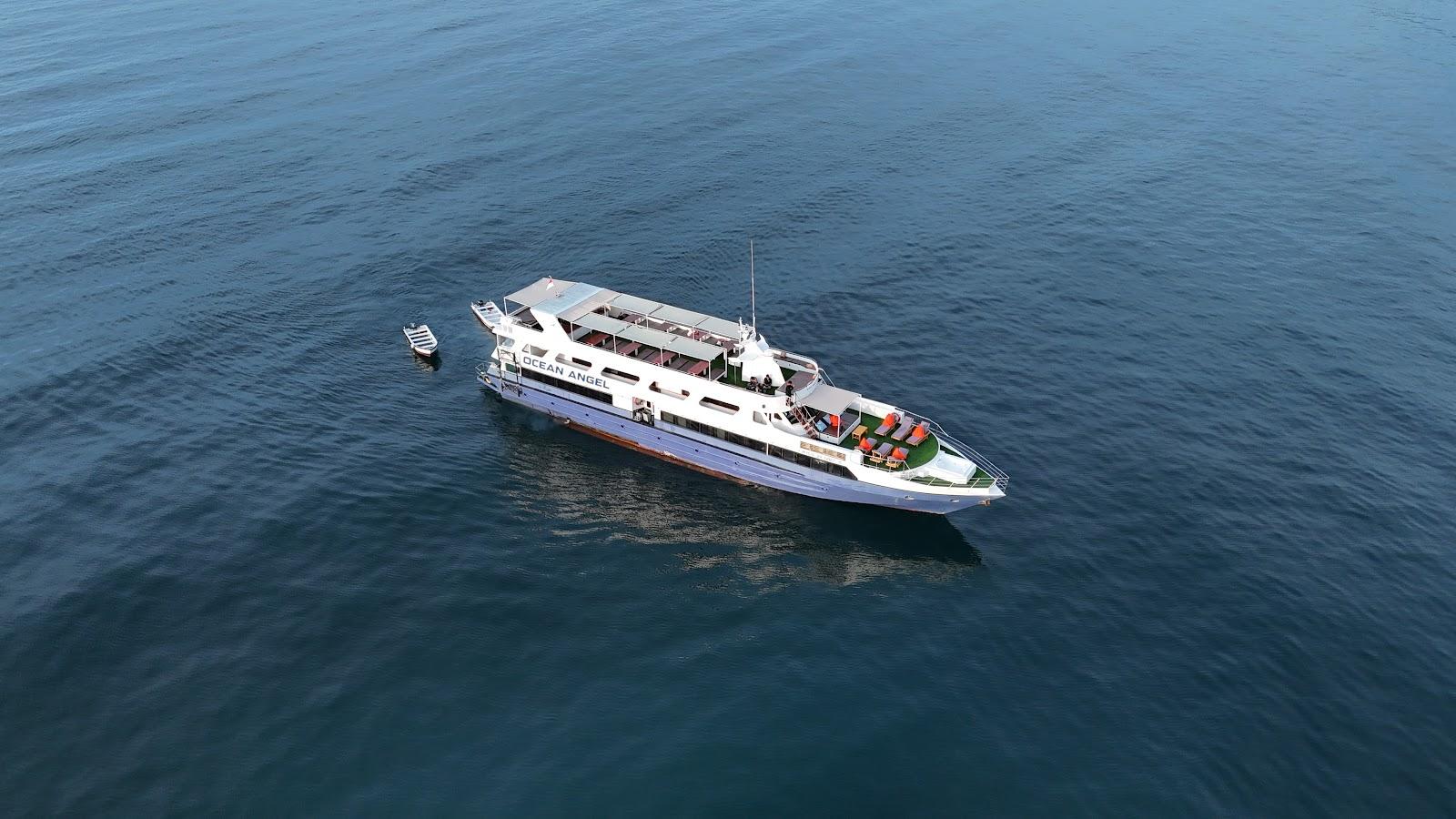 Ocean Angel — #boat (image 24)
