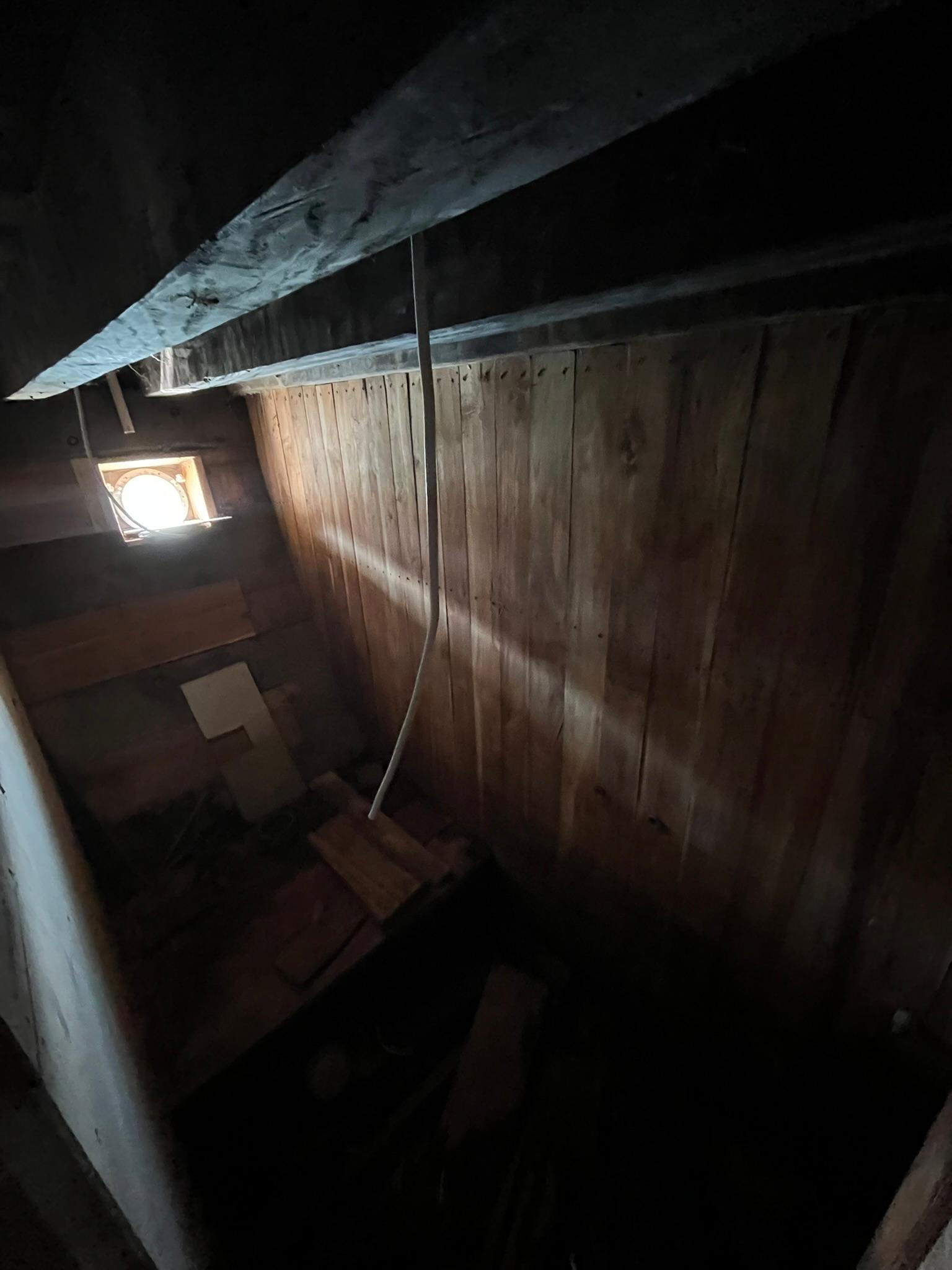 XANDARI — SHARE LOWER DECK (image 1)