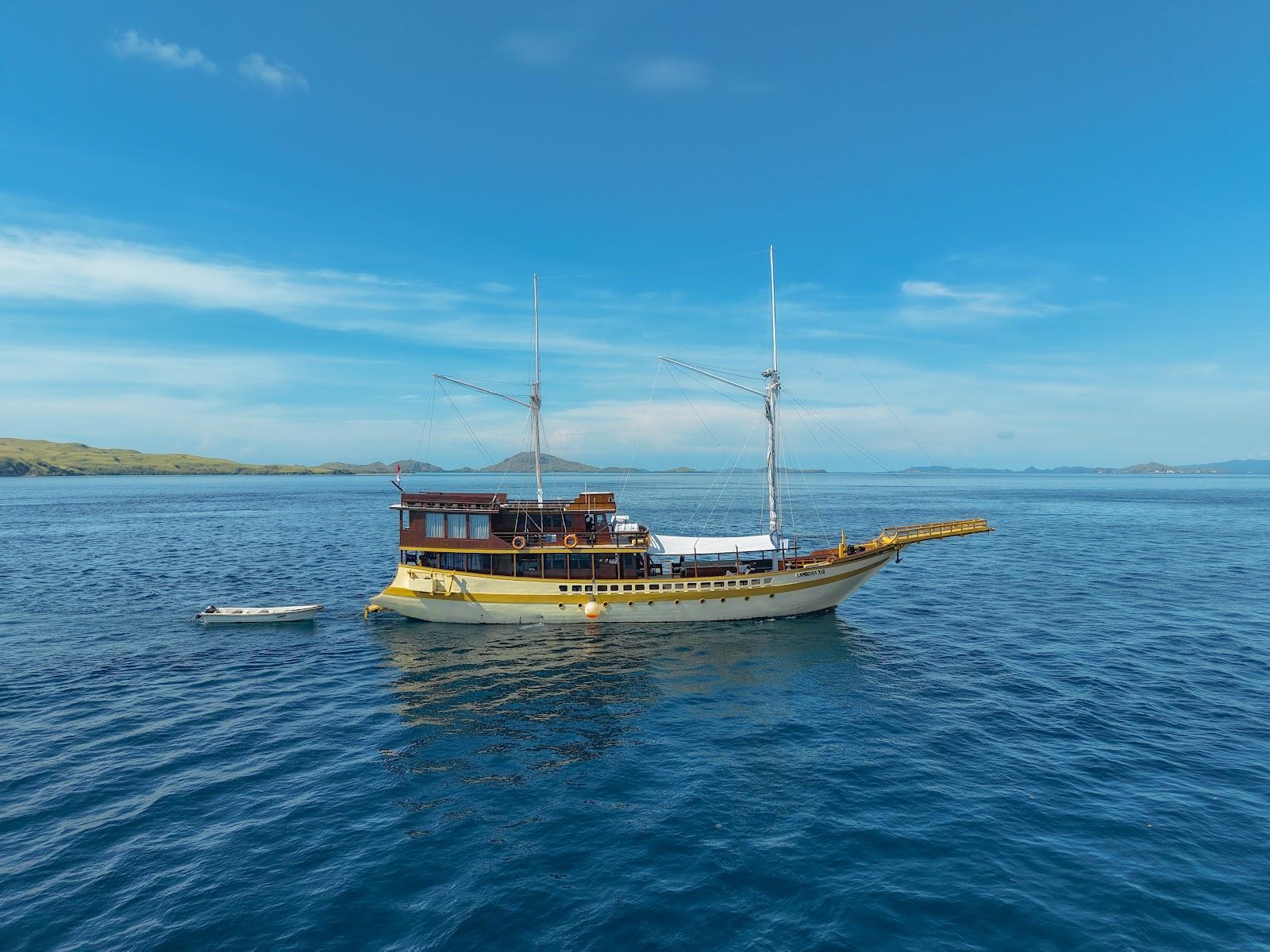 Lamborajo 2 — #BOAT (image 3)