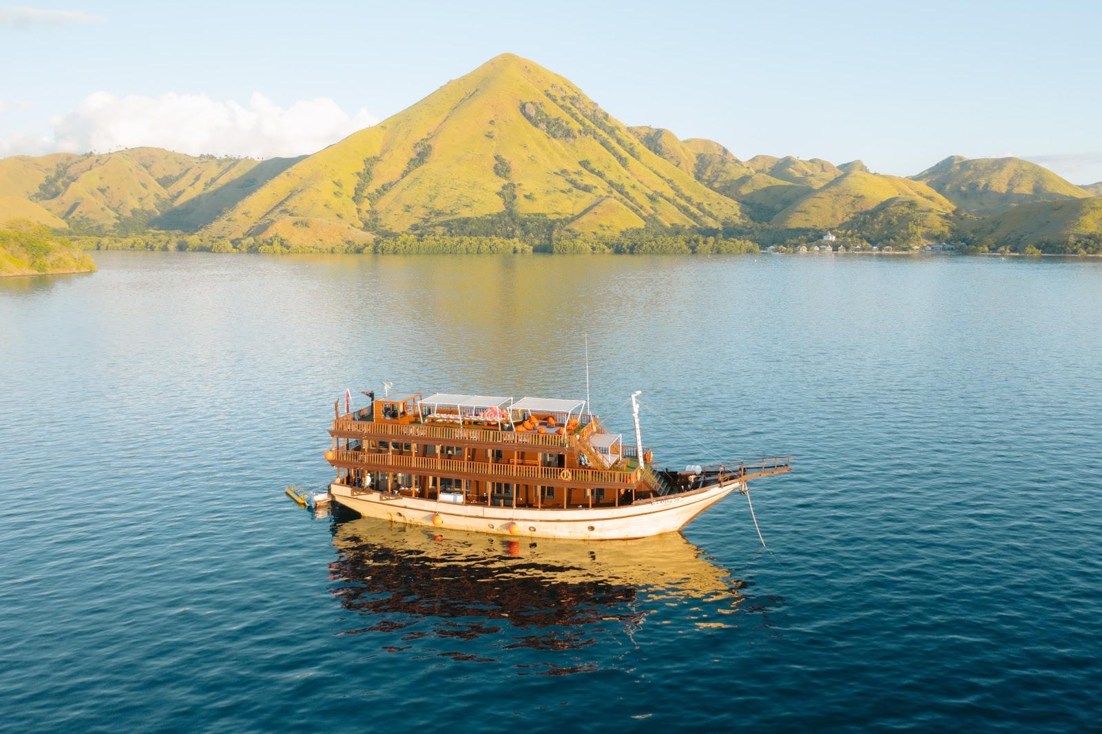 Ocean Pro — BOAT (image 5)