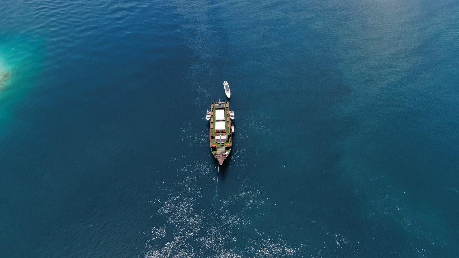 Ocean Pro — ETC (image 11)