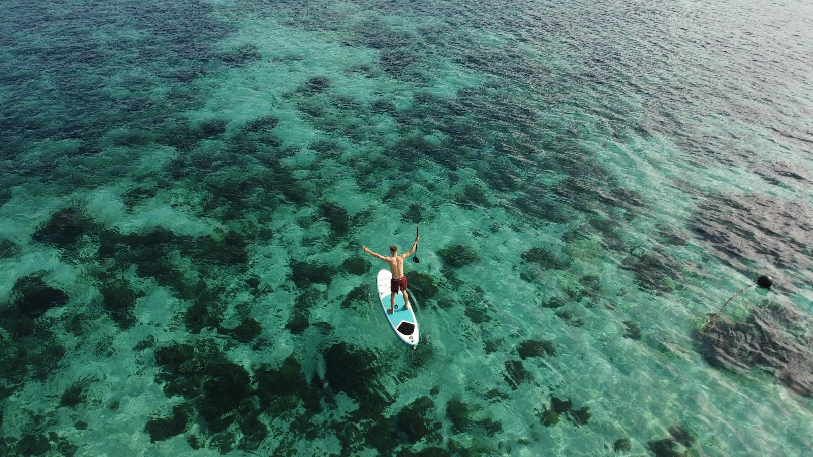 Dinara Live A Board — Canoe & Padle board (image 4)